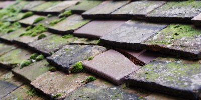 Willingham roof repair costs
